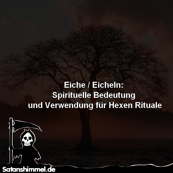 You are currently viewing Eiche, Eicheln: Spirituelle Bedeutung, Magie