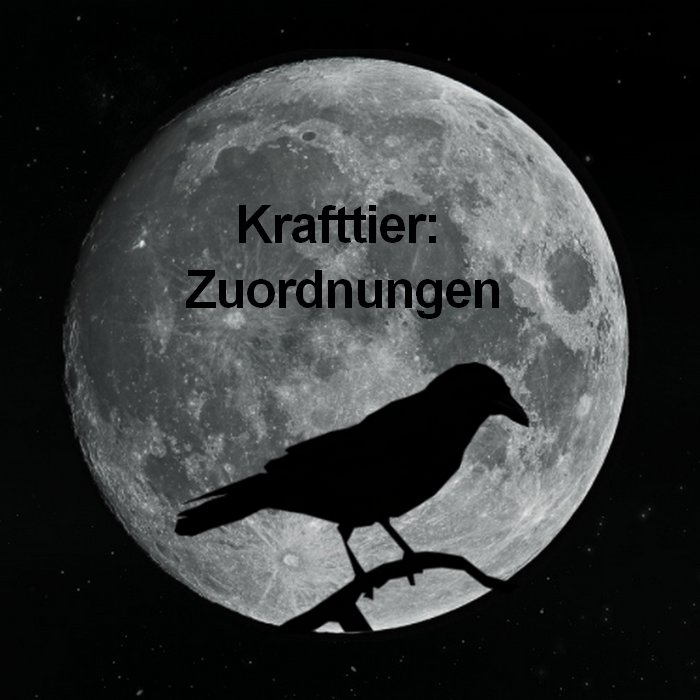Read more about the article Krafttier: Zuordnung Geburtsdatum/ Sternzeichen