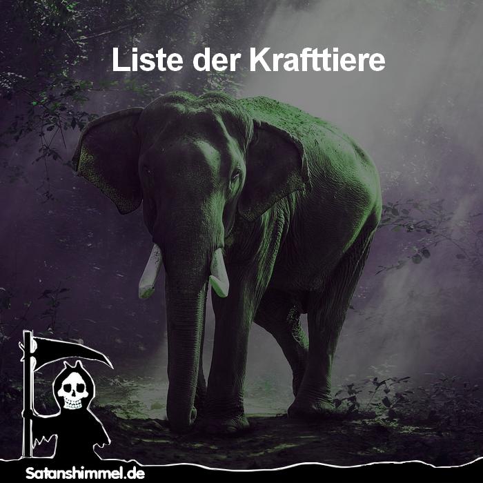 Read more about the article Liste der Krafttiere und ihre Bedeutungen