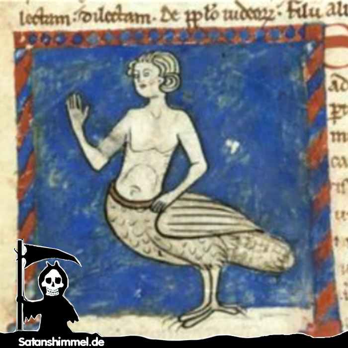 Eine Sirene, aus einem Bestiarium, 13. Jahrhundert.