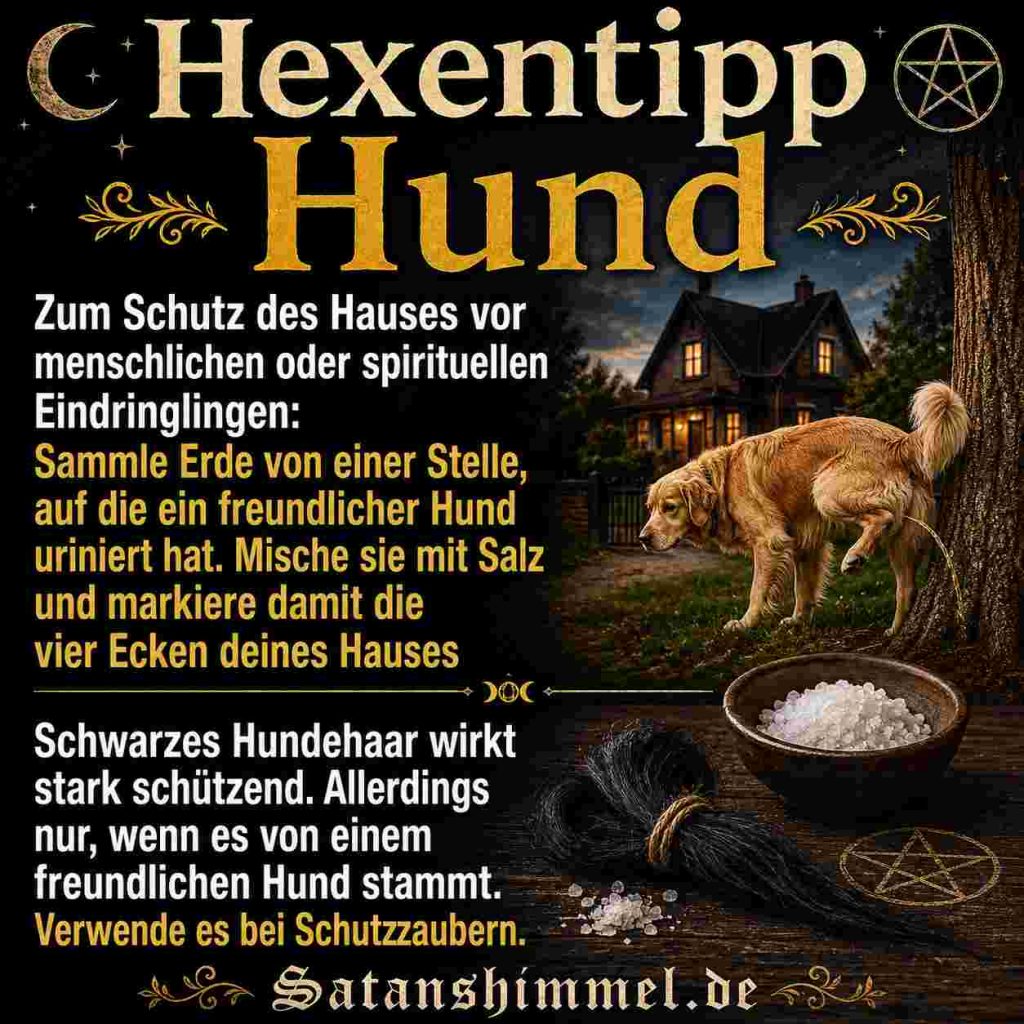 Hundehaaar für Schutzzauber Anleitung zum Ritual